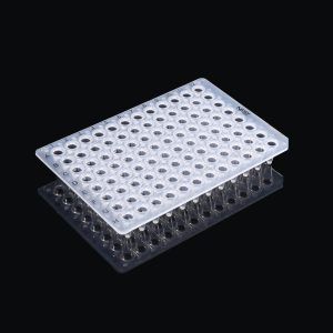 0.1ml 96 Well PCR Plate, No Skirt, Clear, H12 notch