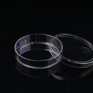 100mm Cell Culture Dish, TC, sterile