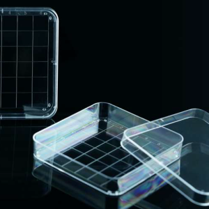 Square 100 x 100 x 15 mm Petri Dish, sterile