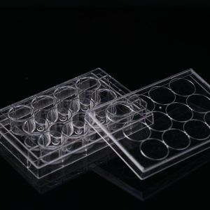 12 Well Cell Culture Plate, Flat, Non-Treated, sterile