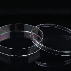 150mm Cell Culture Dish, TC, sterile