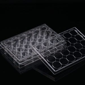 24 Well Cell Culture Plate, Flat, Non-Treated, sterile