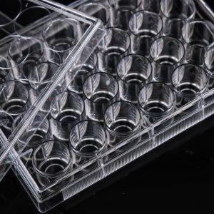 24 Well Glass Bottom Cell Culture Plate,Φ 10mm,TC, sterile