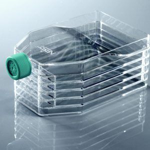 5-Layer Cell Culture Flask, Plug Seal Cap,  Straight Neck, TC, sterile
