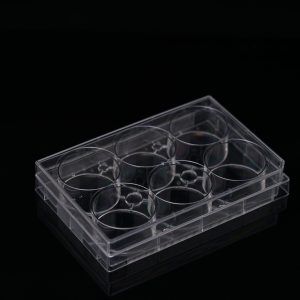6 Well Cell Culture Plate, Flat, TC, sterile