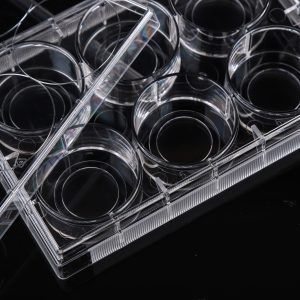 6 Well Glass Bottom Cell Culture Plate,Φ 20mm,TC, sterile