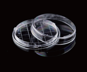 60 x 15 mm Petri Dish, sterile