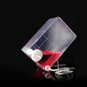 BioFactory Holder, Individually Wrapped