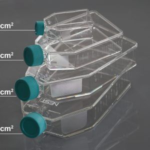 175cm2 Cell Culture Flask, Plug Seal Cap, Non-Treated, sterile, Maximum Working Volume 750mL