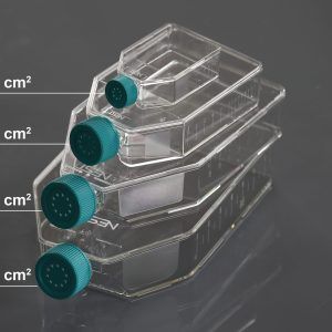 175cm2 Cell Culture Flask, Vent Cap, Non-Treated, sterile, Maximum Working Volume 750mL