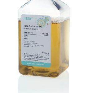 Nest Fetal Bovine Serum (FBS), Heat inactivated, US origin, 500ml/bottle