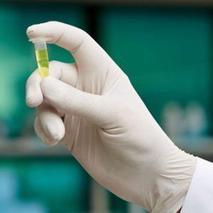 Latex examination gloves, powder free, extra large, 90/box